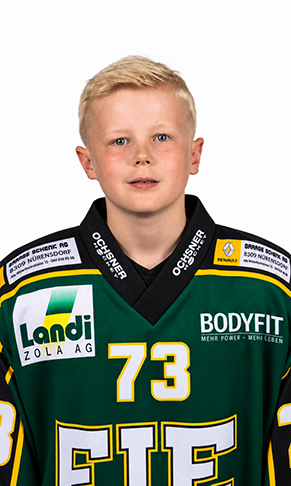 Koster Lino