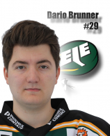 Dario Brunner #29
